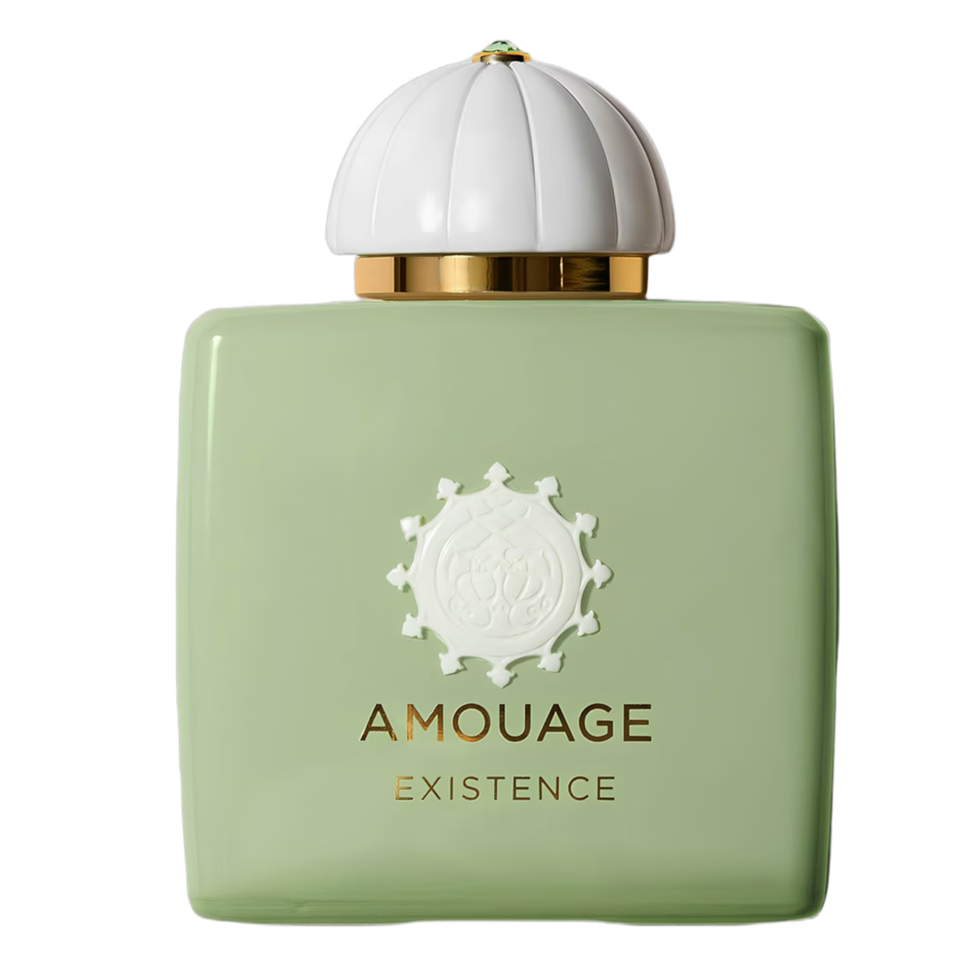 AMOUAGE EXISTENCE (U) EDP 100 ml OM